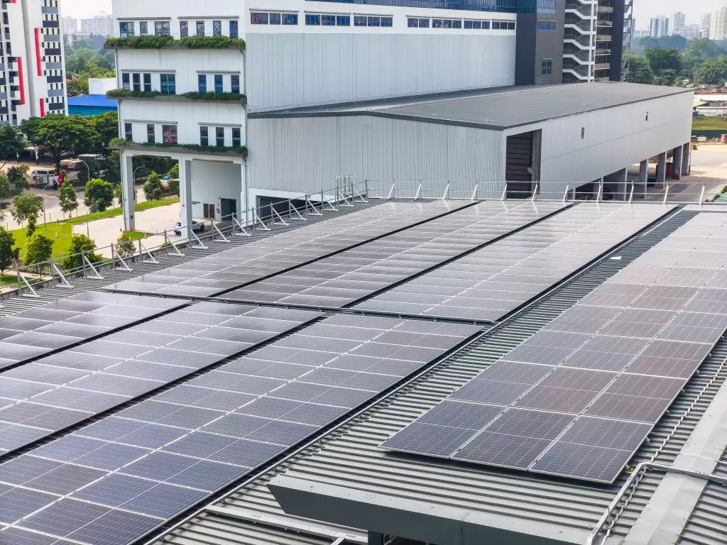 IMG_20250528_151646-2