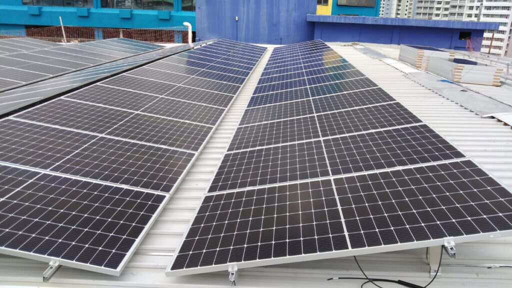 WhatsApp-Image-2021-11-03-at-3.53.14-PM