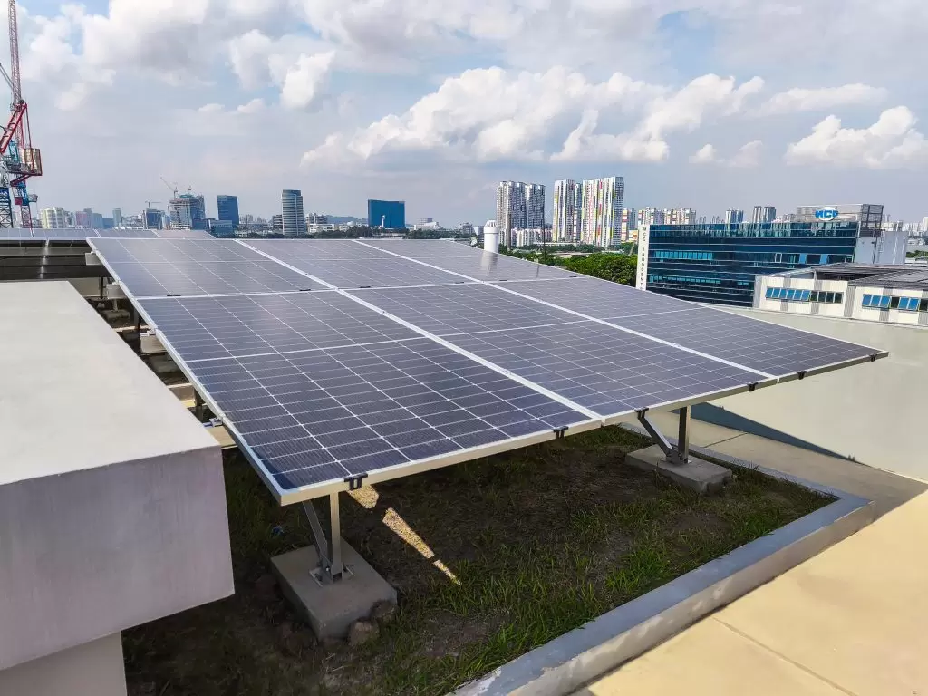 IMG_20250528_154953-2