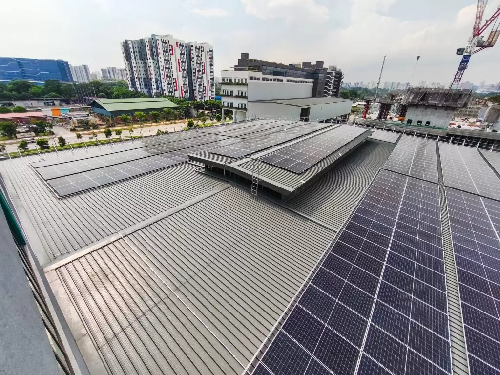 IMG_20250528_151617-2