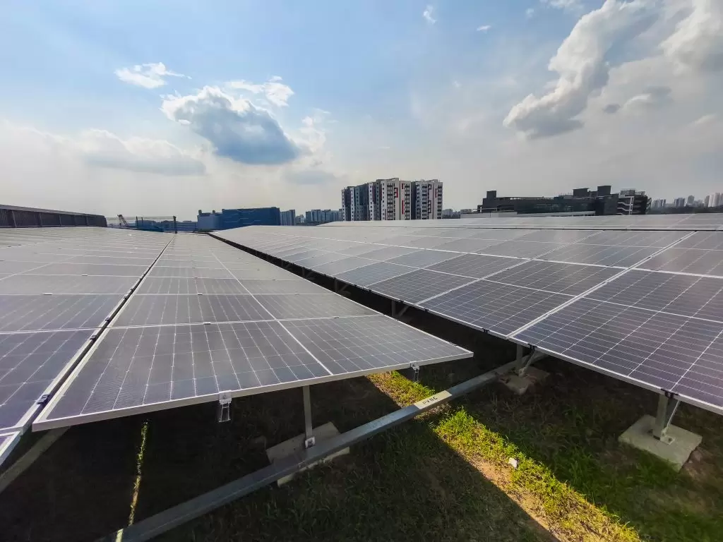 IMG_20250528_155012-2